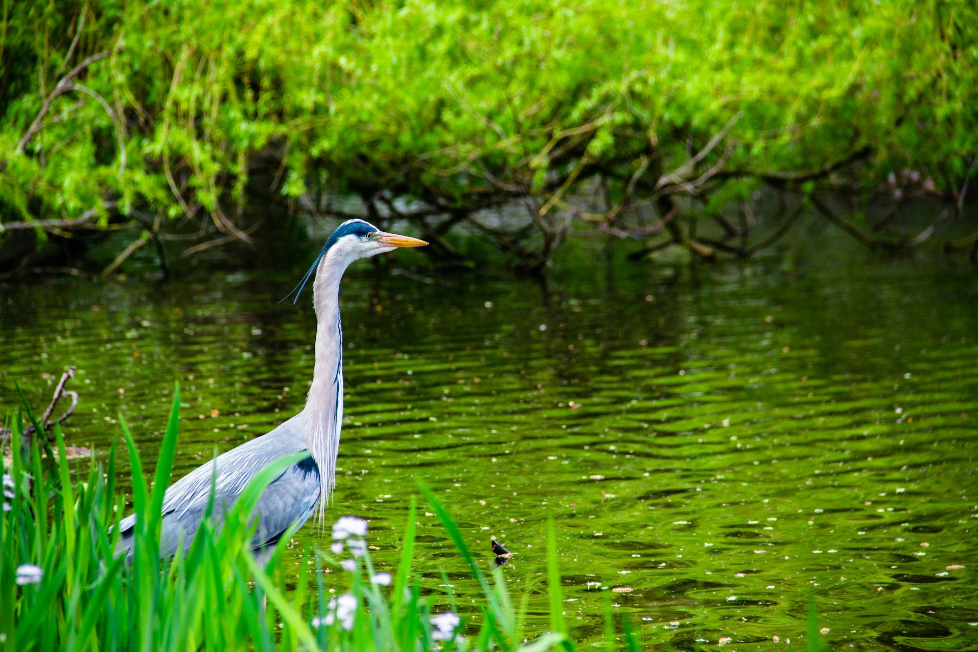 Kleine Hochwaldrunde – Kanu-Tour im Spreewald