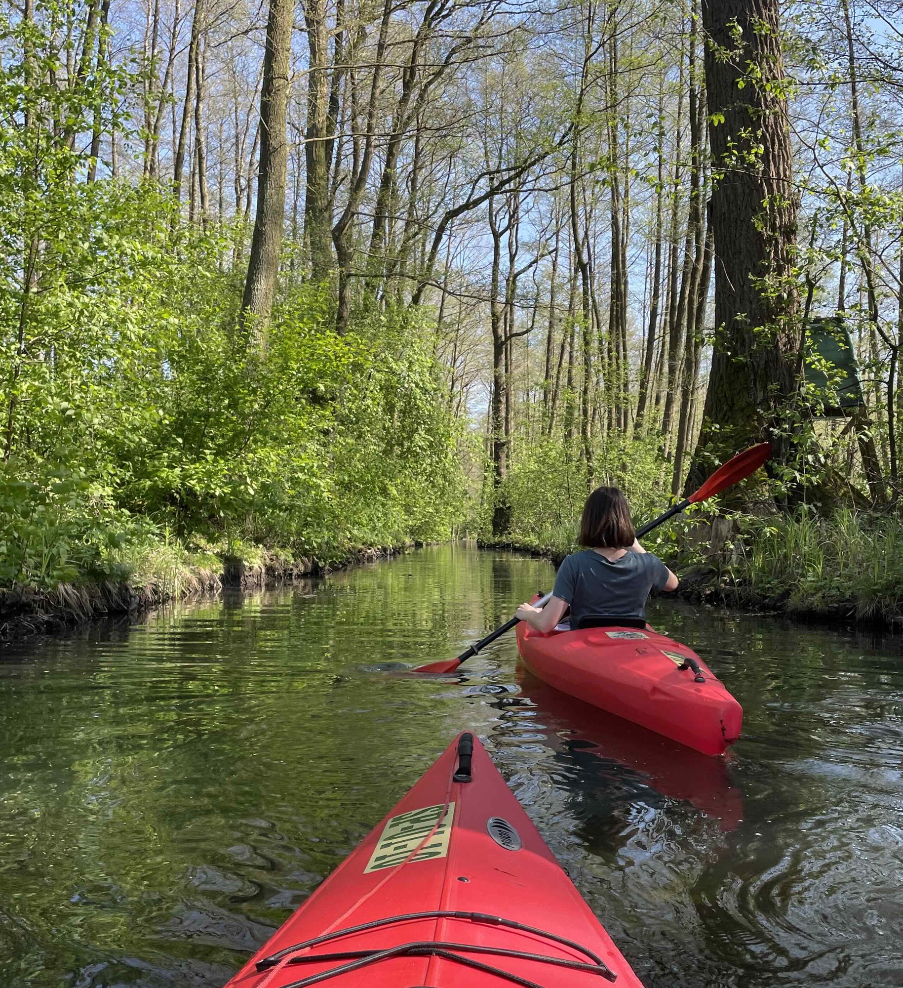 Naturpur im Hochwald – Kanu-Tour im Spreewald